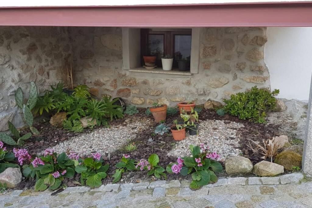 Casa Bento Moura Portugal Villa Moimenta da Serra Ngoại thất bức ảnh