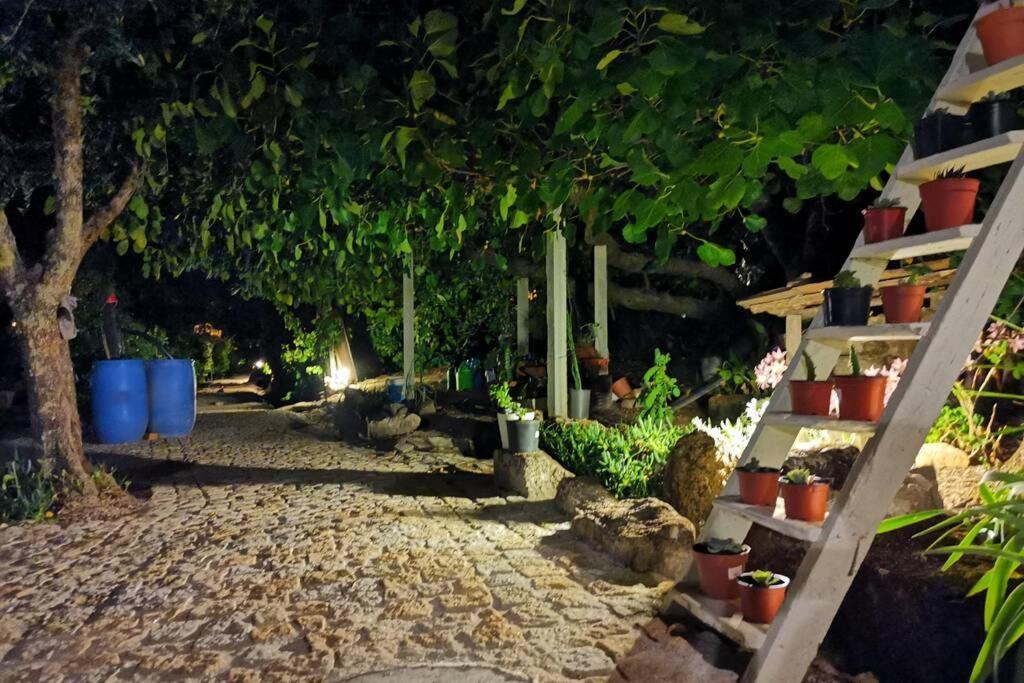 Casa Bento Moura Portugal Villa Moimenta da Serra Ngoại thất bức ảnh
