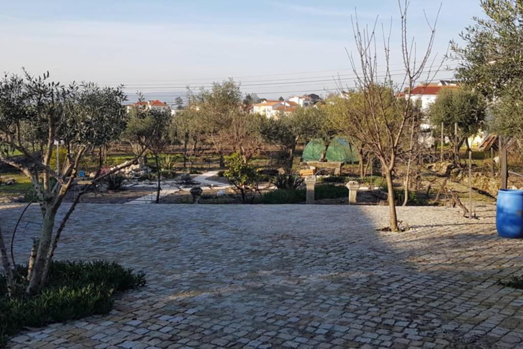 Casa Bento Moura Portugal Villa Moimenta da Serra Ngoại thất bức ảnh